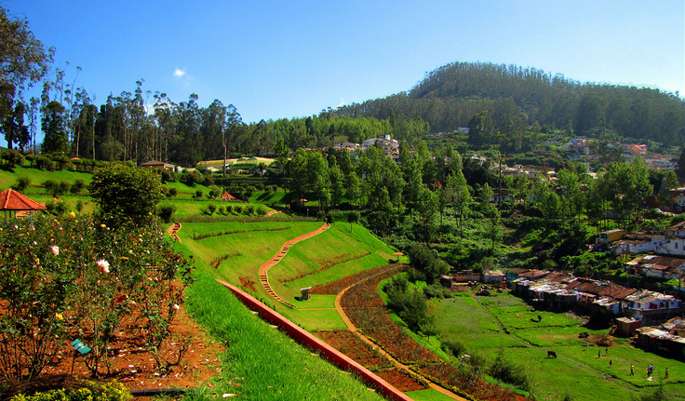 Honeymoon in Ooty