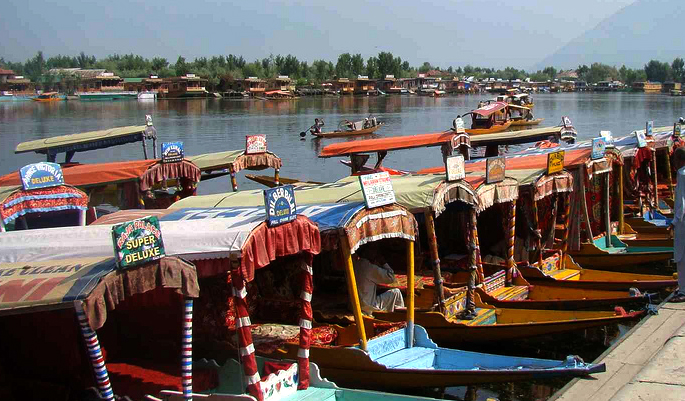 Honeymoon in Srinagar