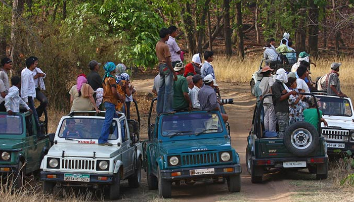 Bandhavgarh National Park