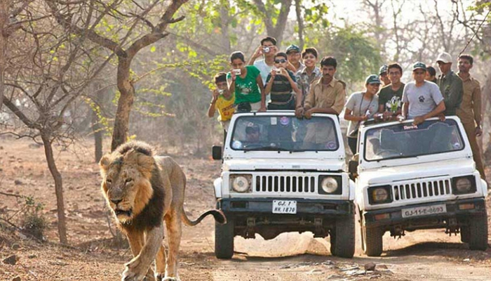 Gir National Park