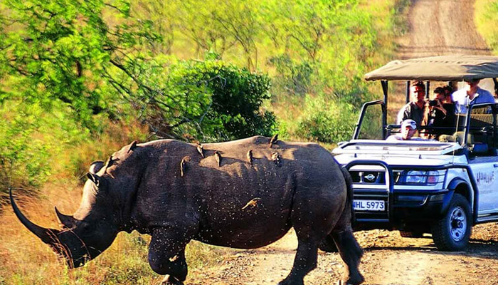 Kaziranga National Park