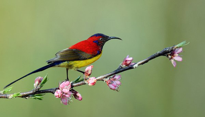 Maenam Wildlife Sanctuary