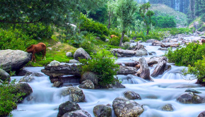 Overa Wildlife Sanctuary