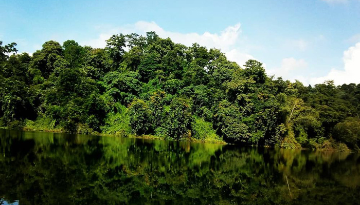 Peechi Vazhani Wildlife