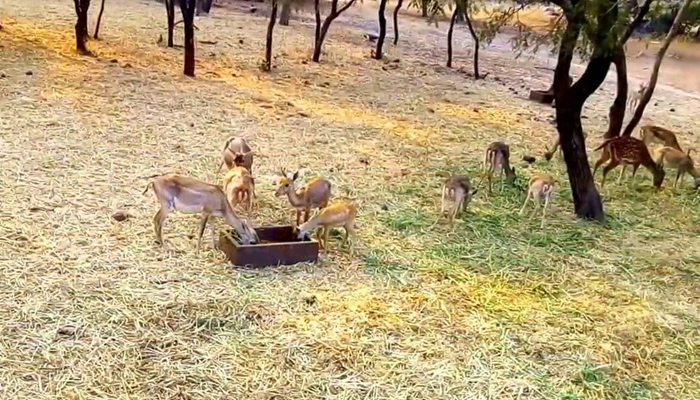 Vanasthali National Park