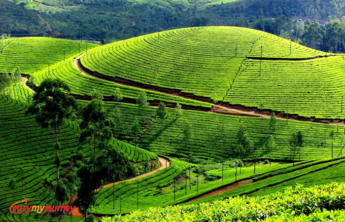 Munnar Tourism