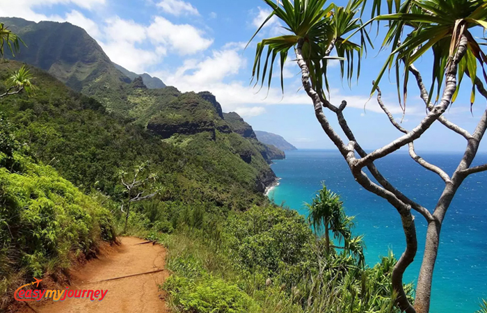 Pali Tourism