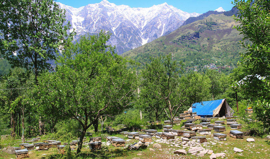 manali